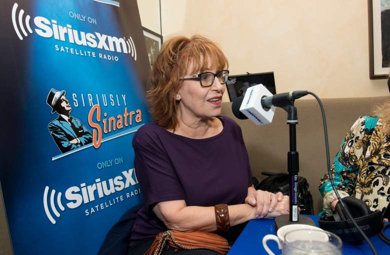 Steve Janowitz, Joy Behar husband, Joy Behar married, Joy Behar Steve Janowitz