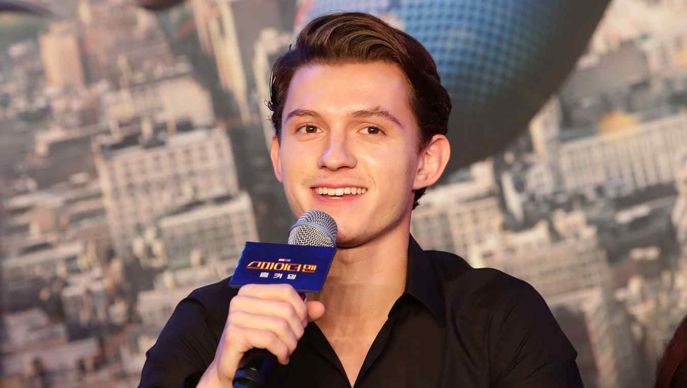 Tom Holland family, Tom Holland brothers, Tom Holland siblings