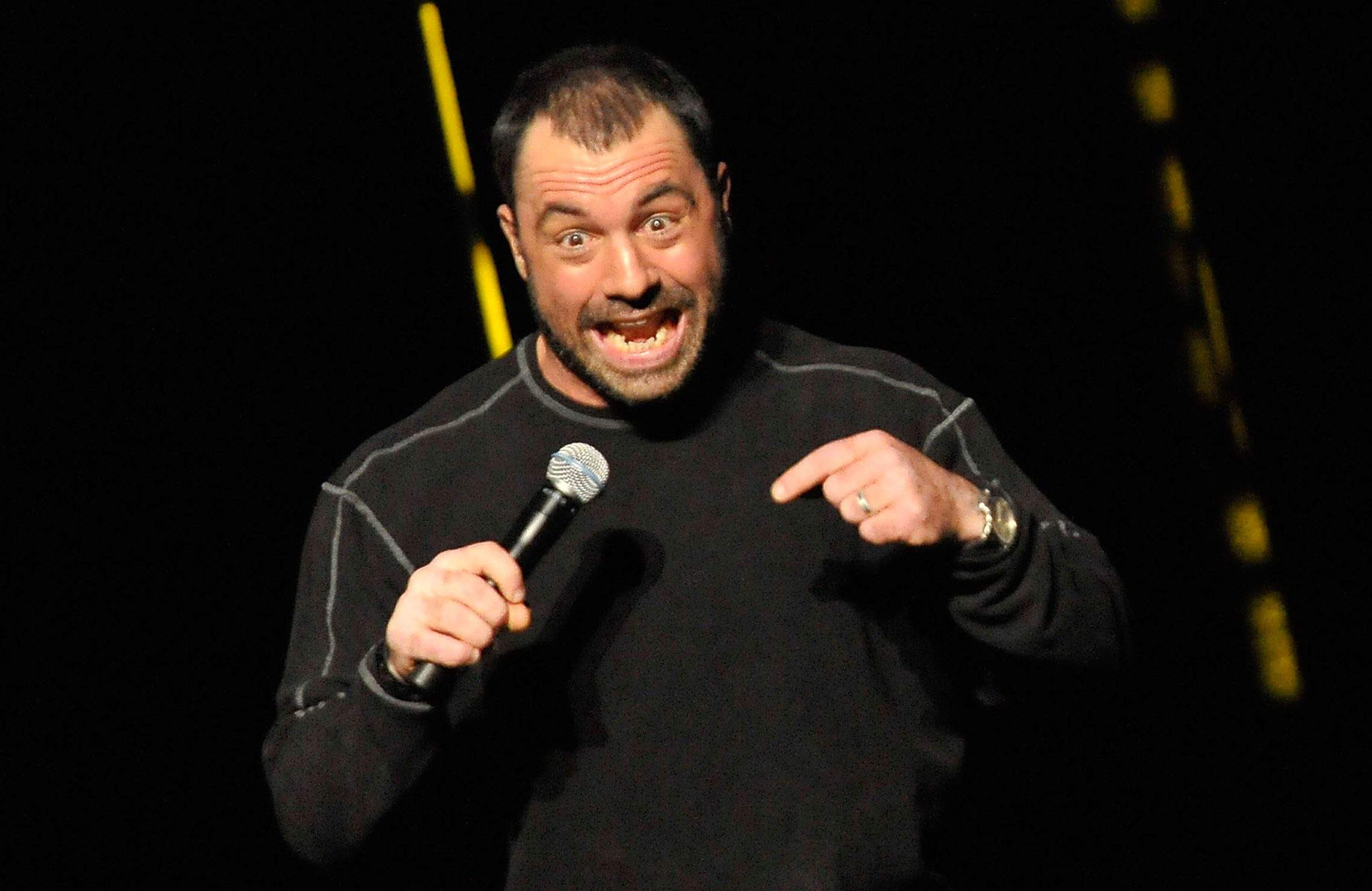 joe rogan roseanne