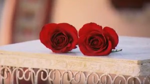 BIP Finale Date 2019