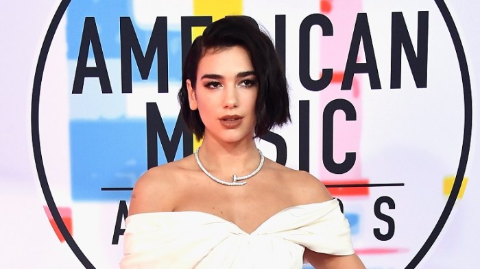 AMAs 2019 Performers