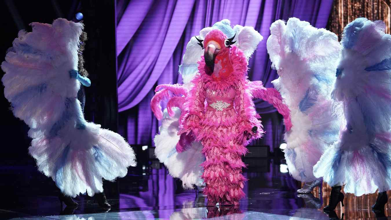 The Masked Singer Spoilers, The Masked Singer Recap