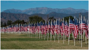 sports clips veterans day freebies