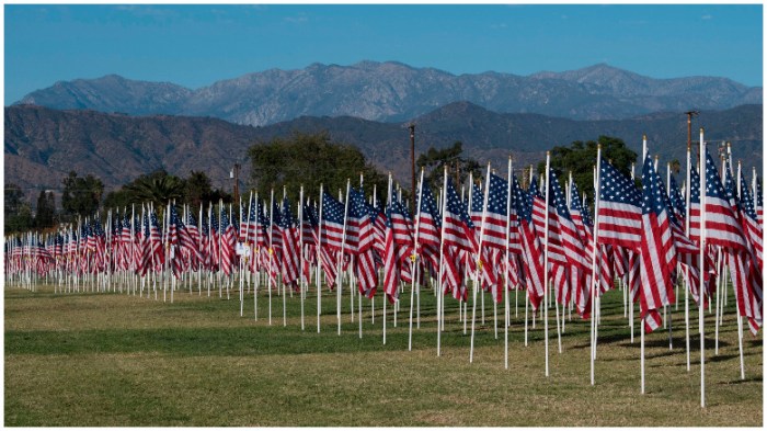 veterans day 2019 airport deals