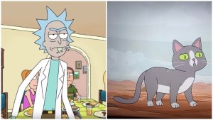 Rick and Morty's cat