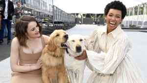 2020 SAG Awards red carpet