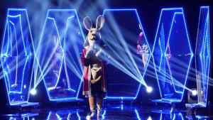 The Masked Singer Kangaroo