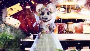 The Masked Singer Reveals