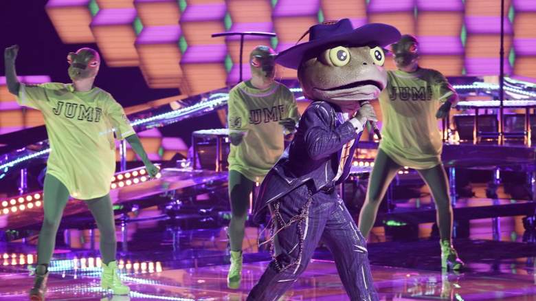 The Frog