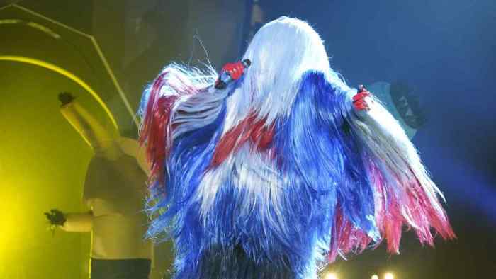 The Masked Singer Whatchamacallit