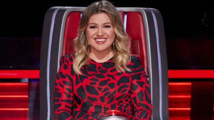 Kelly Clarkson The Voice