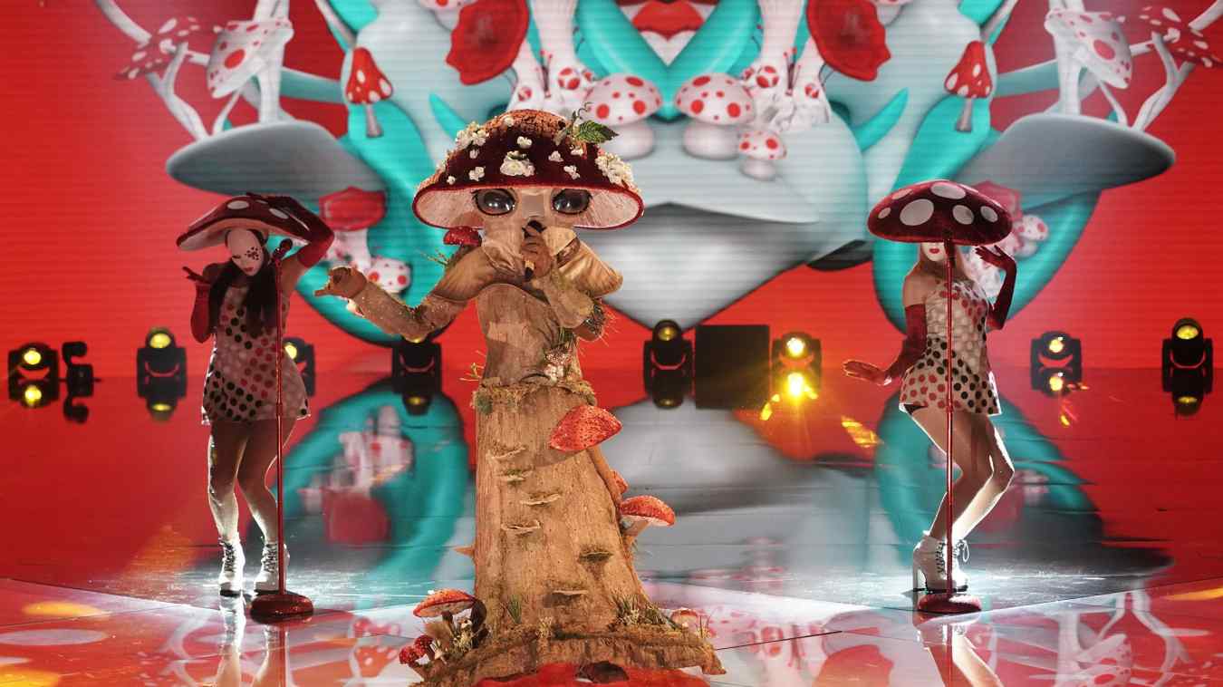 The Masked Singer Mushroom