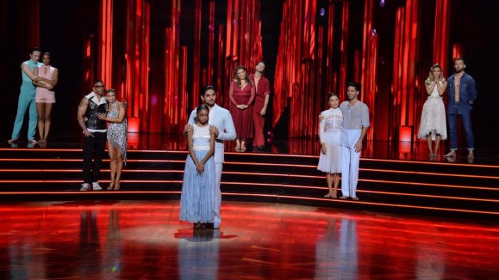 DWTS Pros