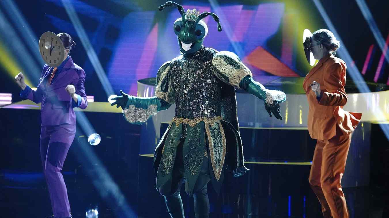 The Masked Dancer Cricket