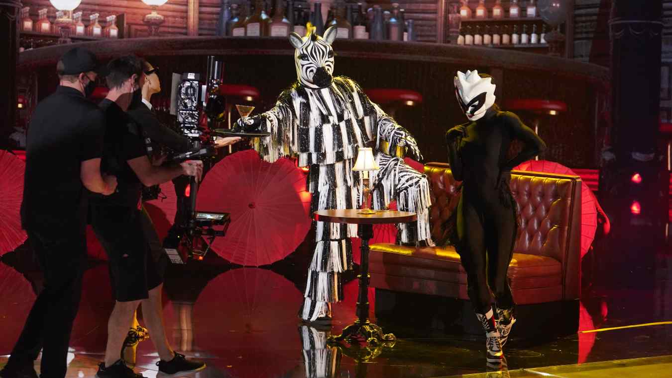 The Masked Dancer Zebra