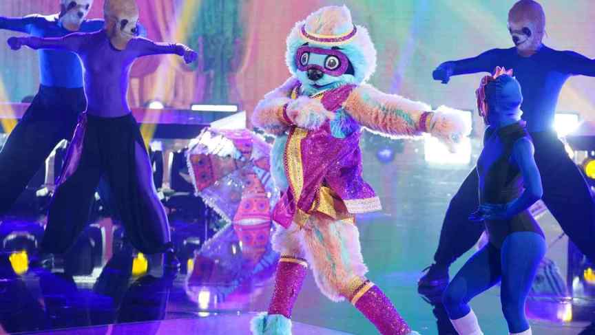 The Masked Dancer Sloth