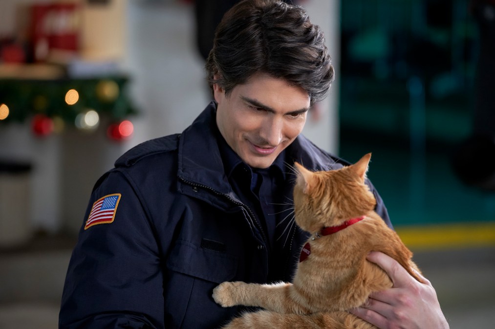 The Nine Kittens of Christmas