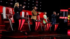 The Voice Coaches