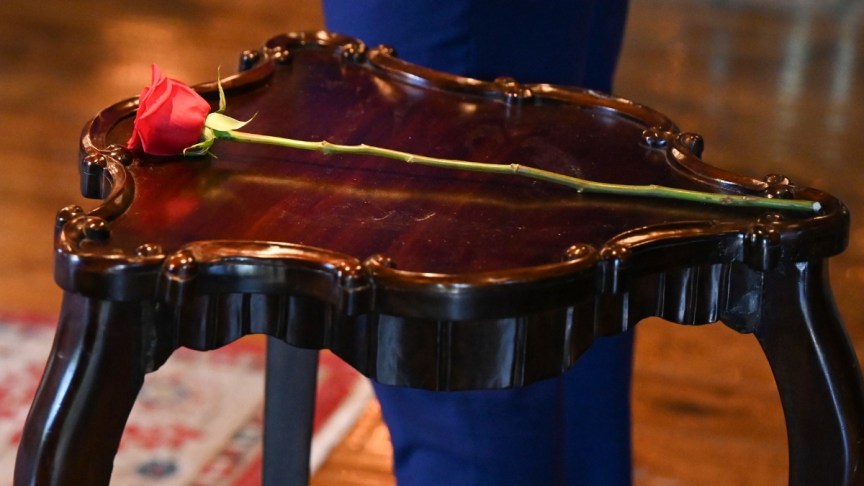 A 'Bachelor Nation' rose