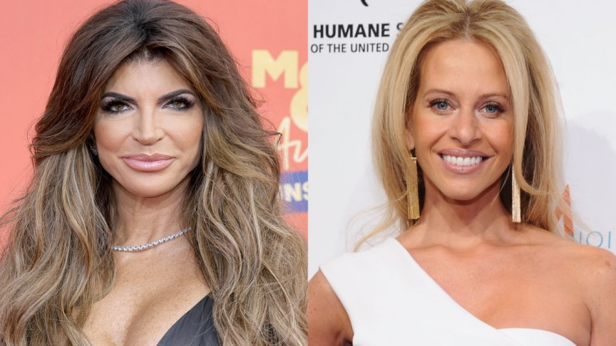 Teresa Giudice and Dina Manzo