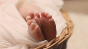 Baby feet.