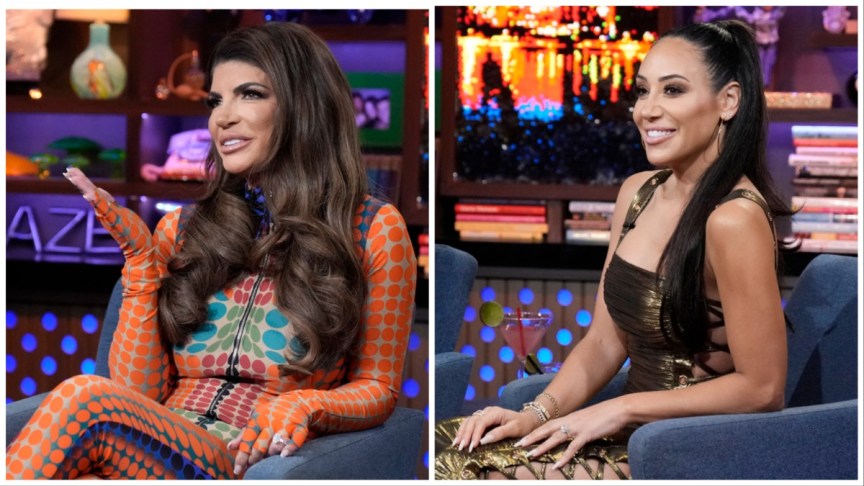 Teresa Giudice and Melissa Gorga.