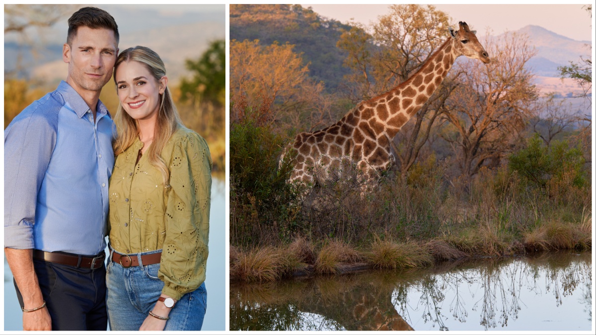 "A Safari Romance"