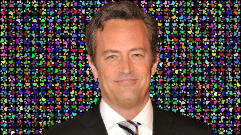 Matthew Perry Dog