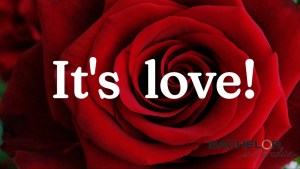 A rose.