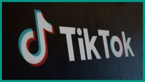 The TikTok account Flightles.Bird was deleted after sparking outrage.