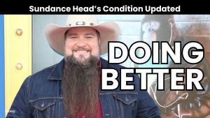 sundance head condition