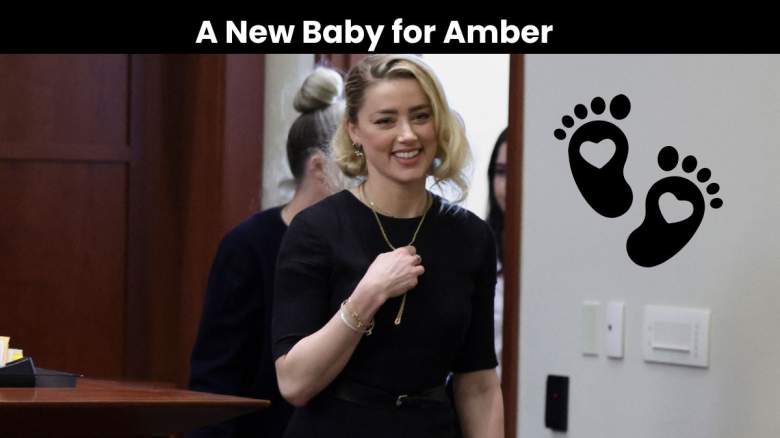 amber heard pregnancy