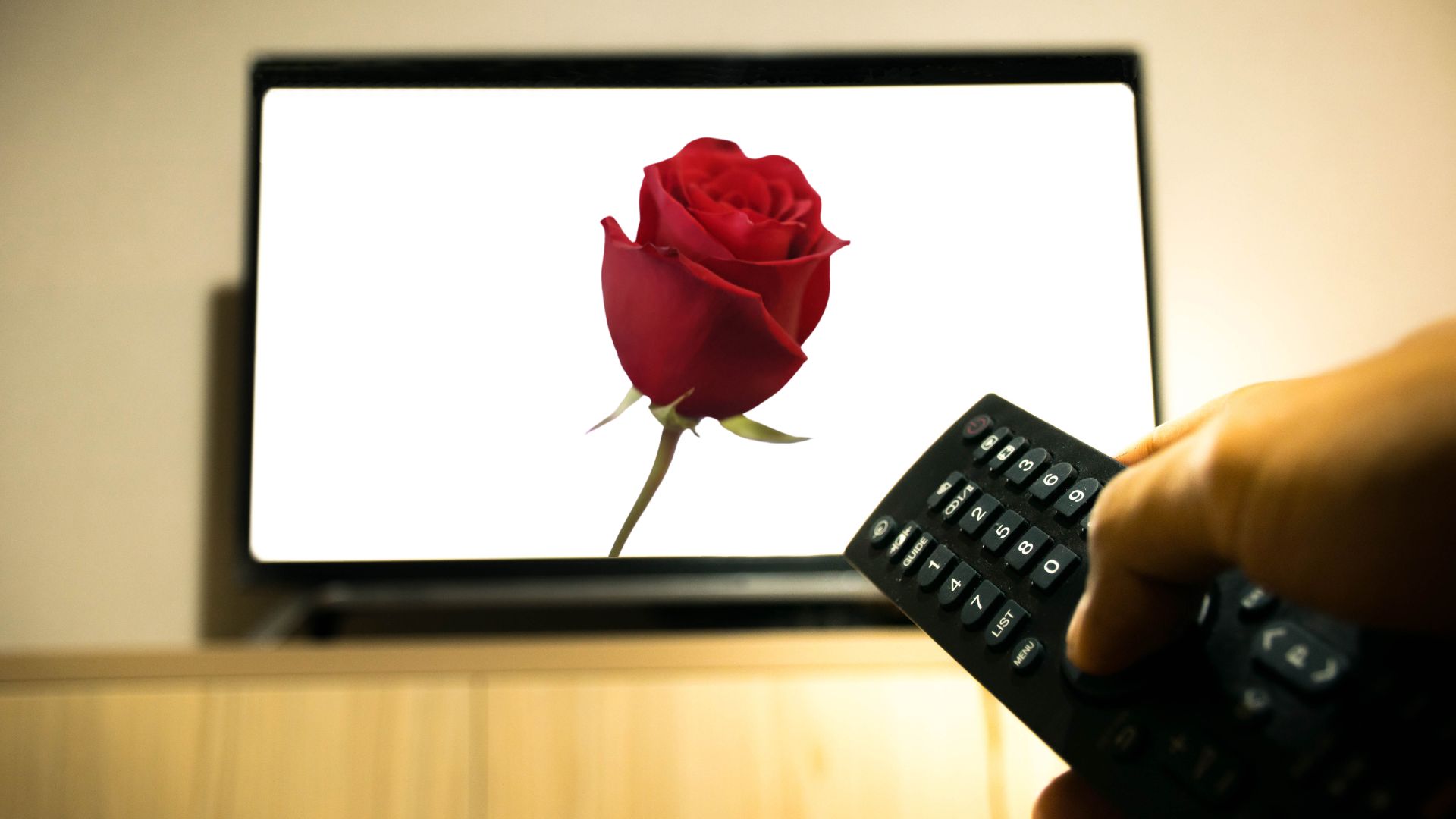The Bachelorette