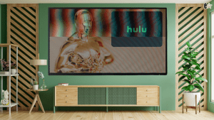 Hulu Oscars Issues