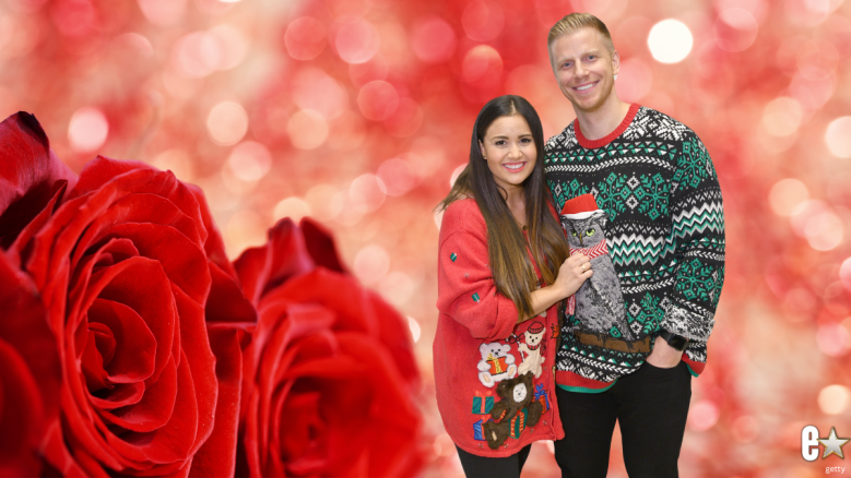 Catherine Giudici and Sean Lowe