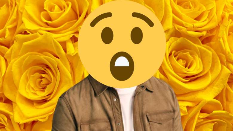golden bachelor