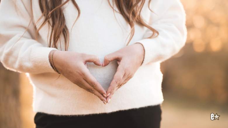 'Sister Wives' Aspyn Brown pregnant