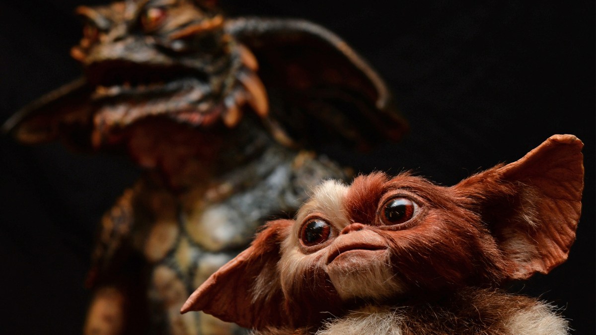 'Gremlins 3' Could Be Hitting Theaters Soon from Steven Spielberg.