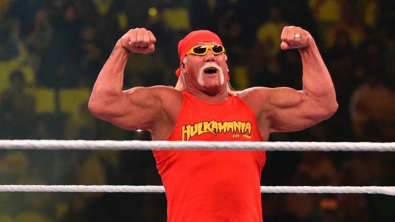 Hulk Hogan Laila Ali