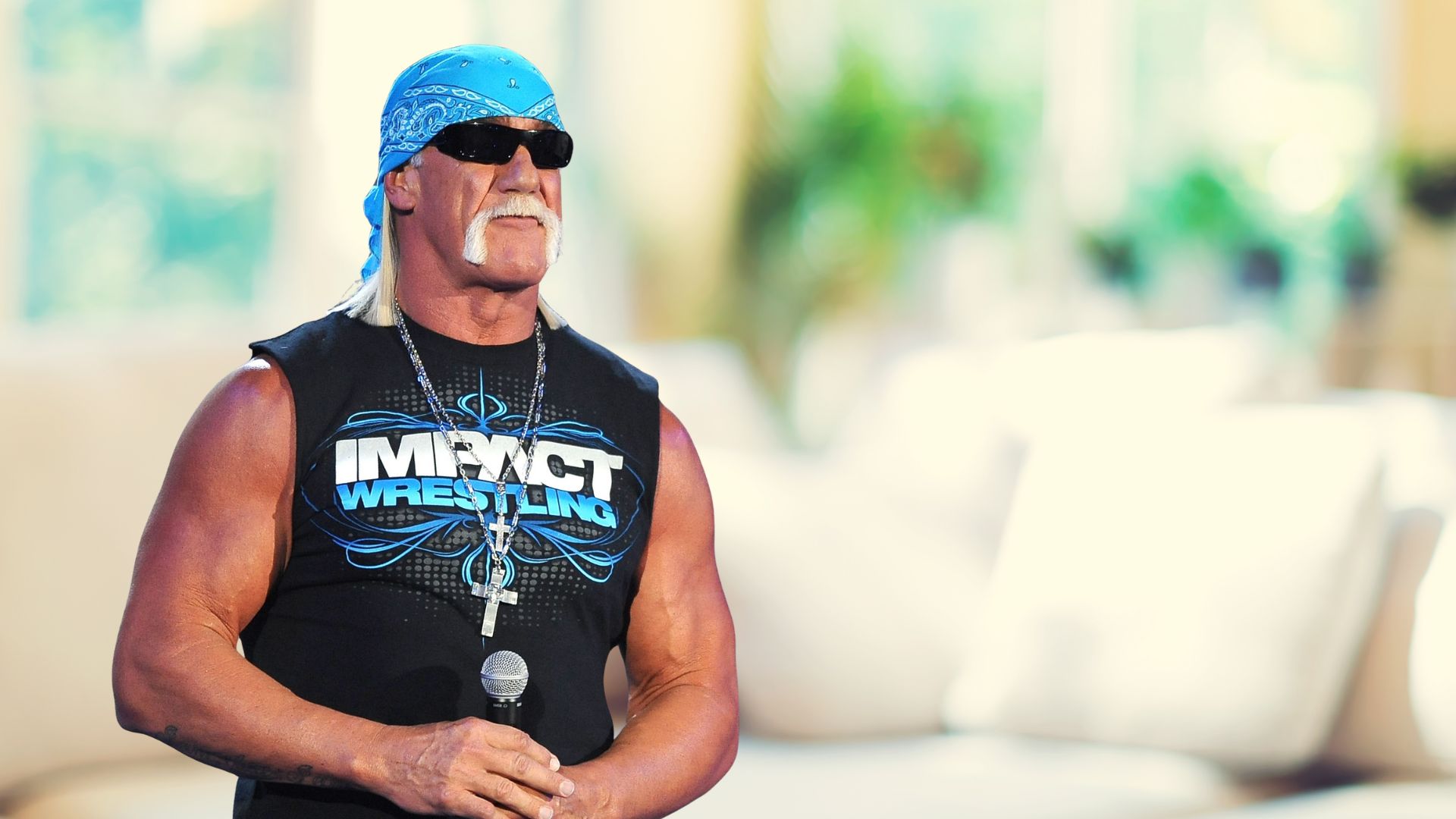 Hulk Hogan