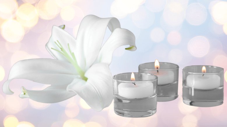 a white flower with three white candles