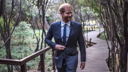 Prince Harry Cleared in Sentebale Scandal, Issues Emotional Statement
