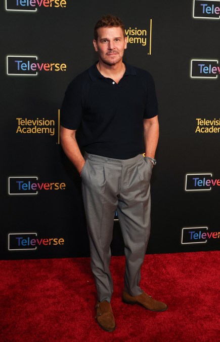 David Boreanaz