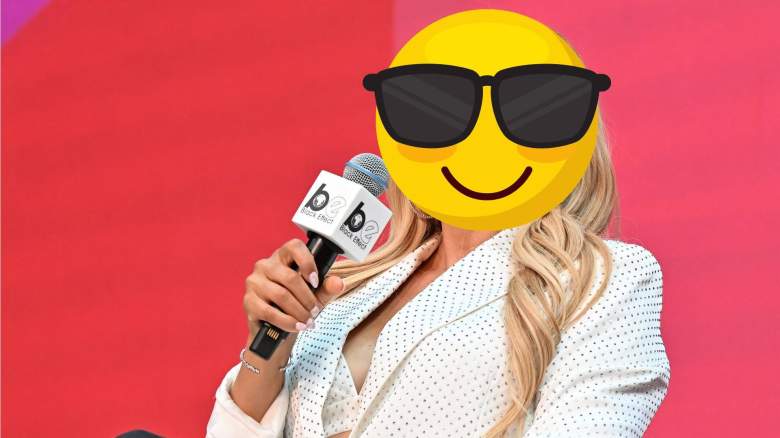 Robyn Dixon Real Housewives of Potomac