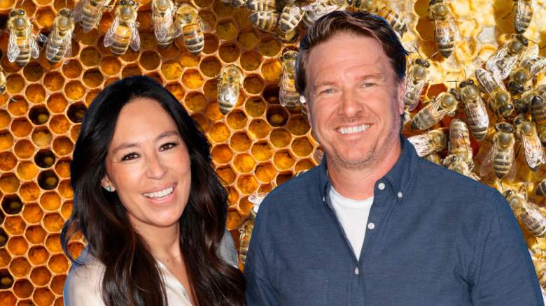Joanna and Chip Gaines