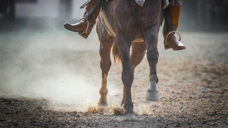 rodeo