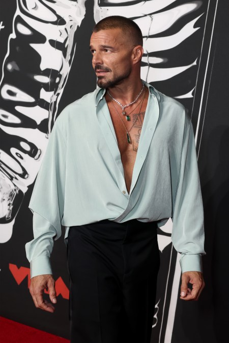 Ricky Martin