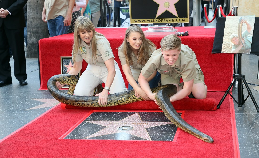 Terri Irwin, Bindi Irwin, Robert Irwin