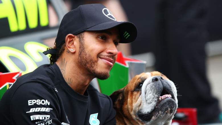 Race winner Lewis Hamilton of Great Britain and Mercedes GP celebrates his record breaking 92nd race win with his dog Roscoe in the pitlane during the F1 Grand Prix of Portugal at Autodromo Internacional do Algarve on October 25, 2020
