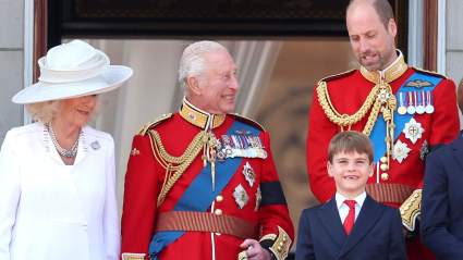 Prince William Gives Rare Update on Mischievous Prince Louis